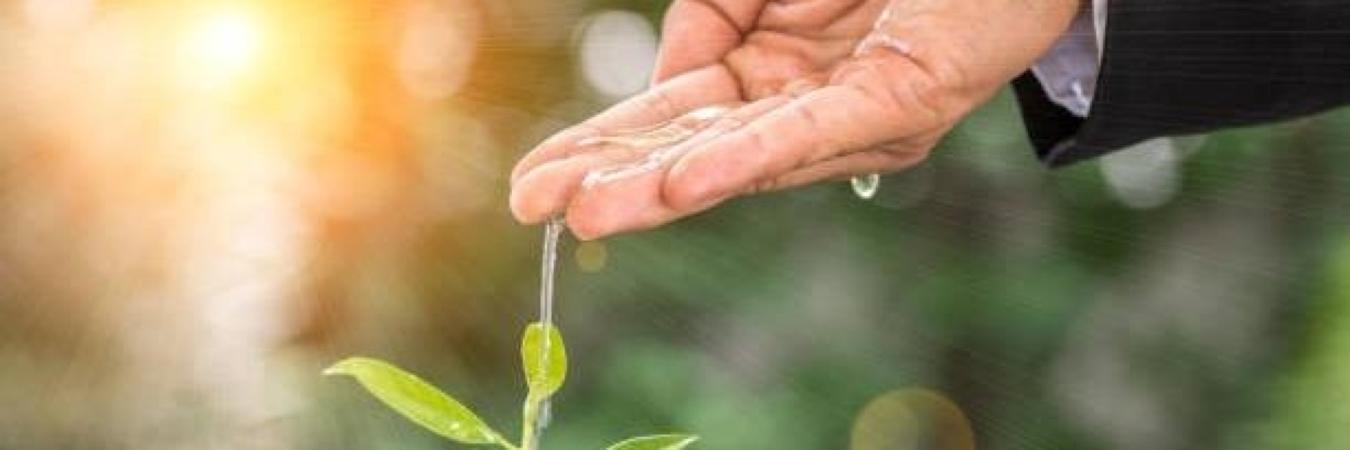 Seila Ltda. Servicios Ecológicos Integrados Latinoamericanos