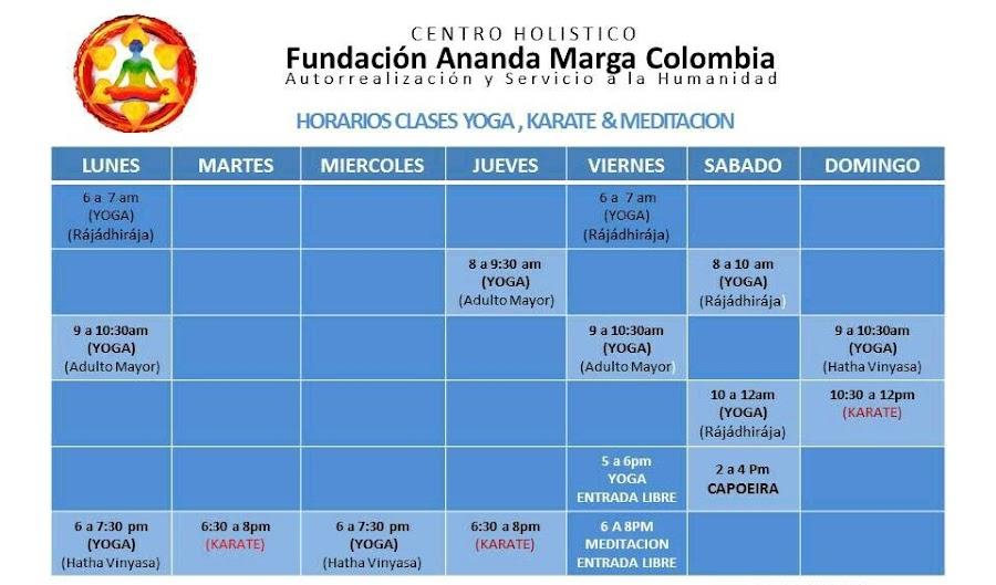 Fundación Ananda Marga
