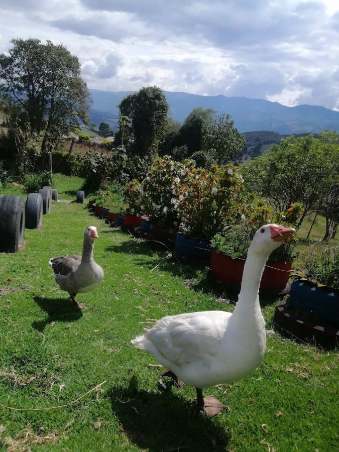 La Granja de Mary