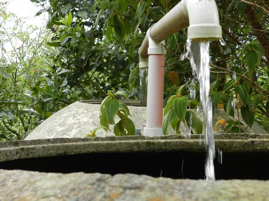 Bisvita Basura Cero